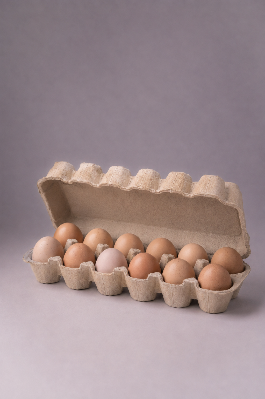 Huevos de gallinas libres